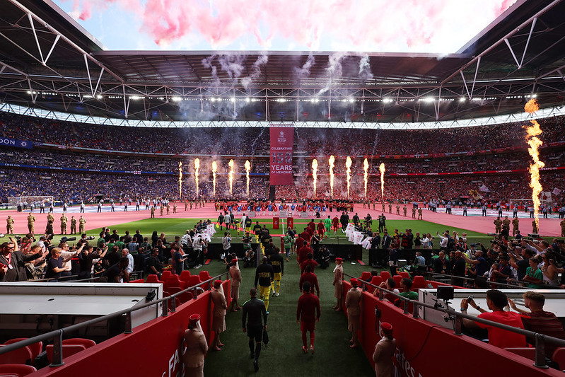 Emirates FA Cup Eco Friendly Pitch Banner with soldiers on