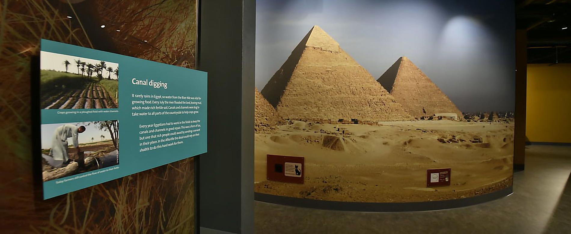 liverpool museum egypt