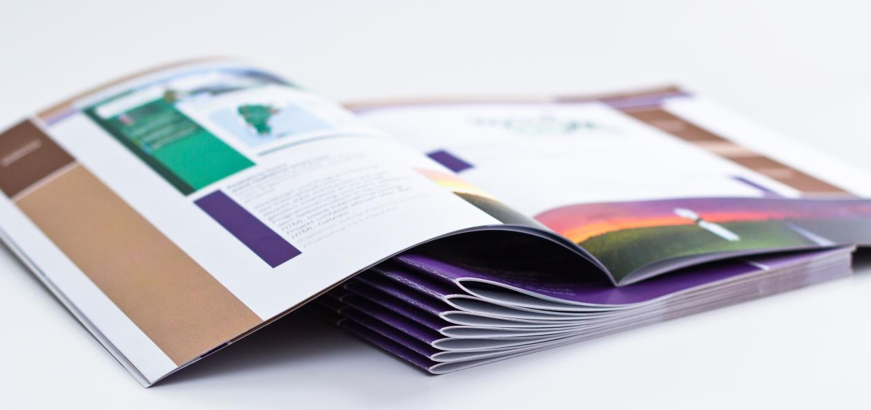Annual report example