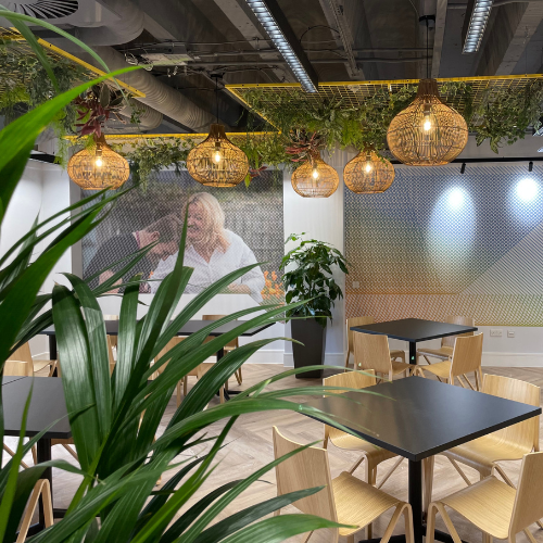 Canteen area with plant