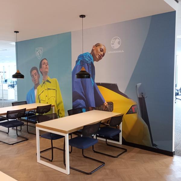 Display graphics